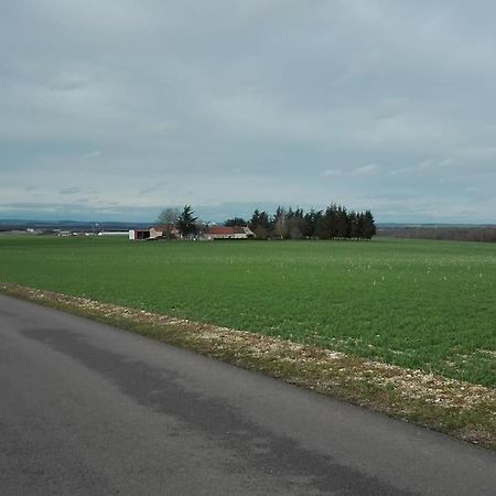 Maison Entiere Independante Noyers-sur-Serein Luaran gambar