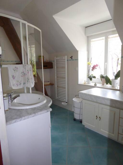 Maison Entiere Independante Noyers-sur-Serein Luaran gambar